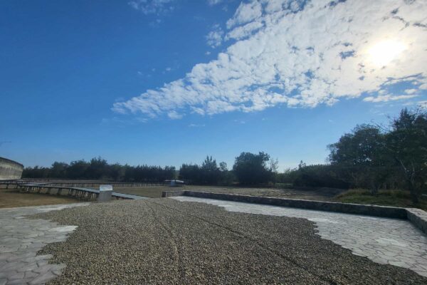 20260115_095841 20260115_095841