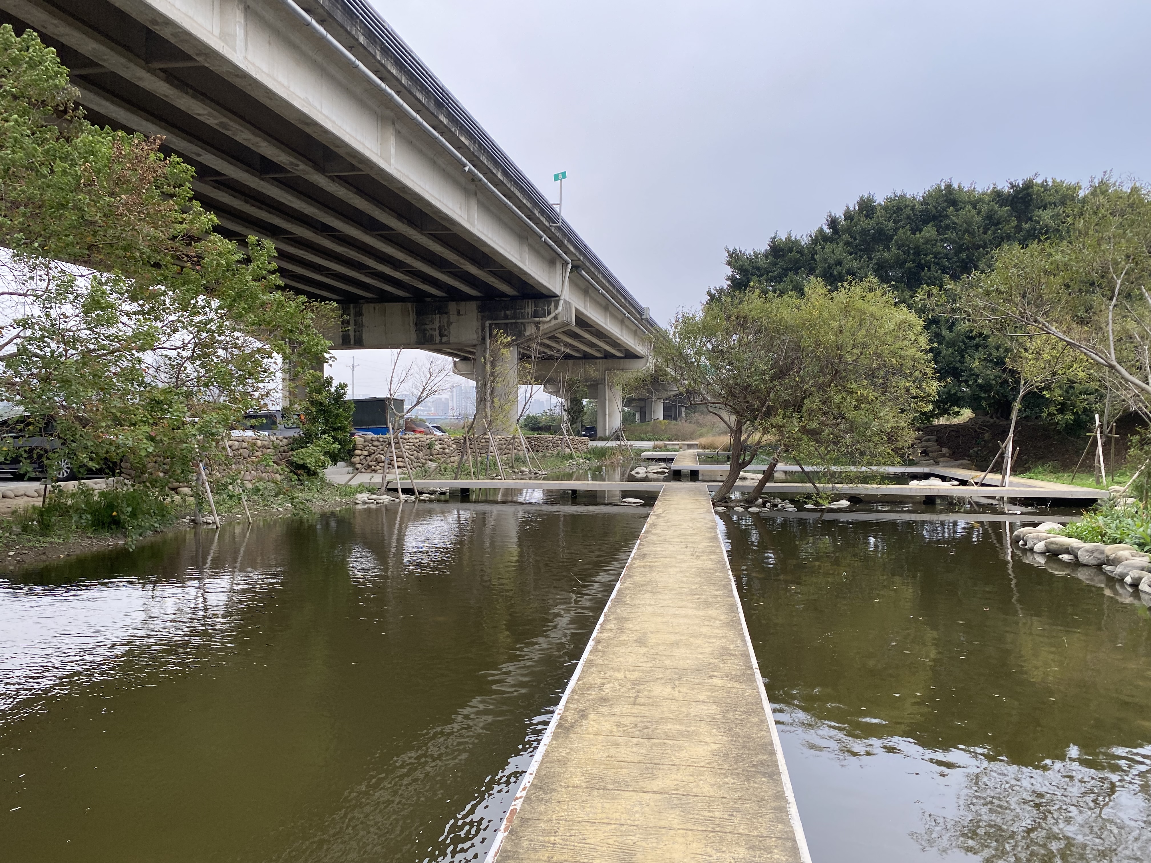 20220121 新竹左岸水環境改善計畫-生態檢核現勘