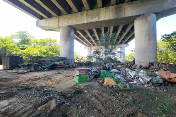 20250723_134320 20250723_134320