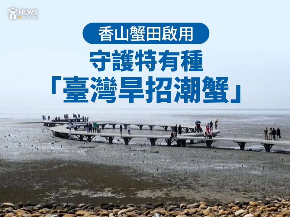 香山蟹田啟用　守護特有種「臺灣旱招潮蟹」