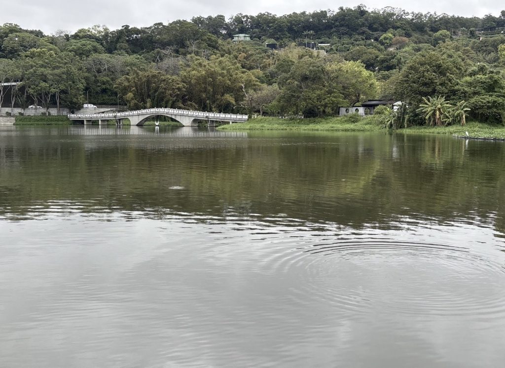 竹市府清除青草湖水域漂浮植物與雜草 美好景觀與生態環境再現